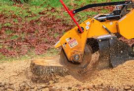 Leaf Removal in Mecca, CA